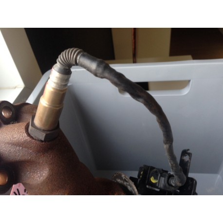 Sonde lambda Ceed 1600 crdi