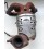 Catalyseur Rio 1200