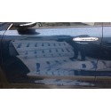 Porte AVG Niro