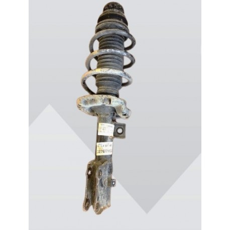 Amortisseur AVG Stonic