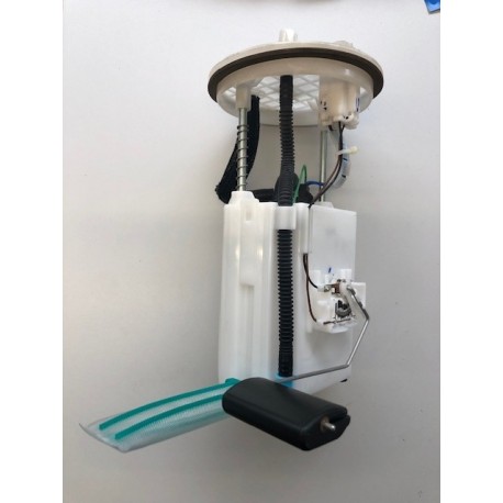 Ensemble pompe à carburant et jauge Carens