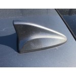 Antenne Carens