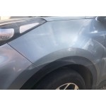 Aile AVG Sportage QL