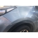 Aile AVG Sportage QL
